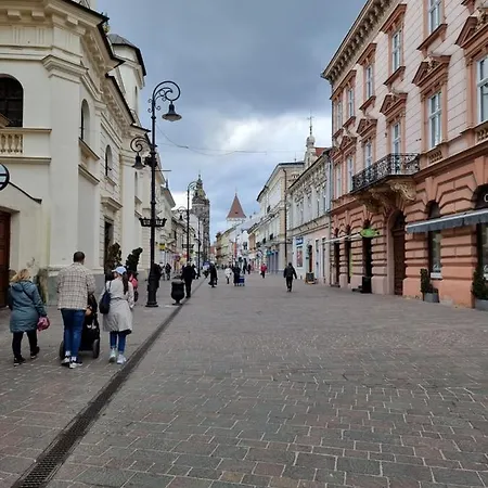 Apartment Mlynska Center With Private Parking